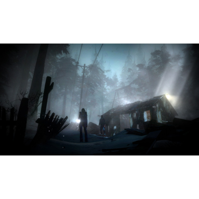 Videojuego PlayStation 5 Sony Until Dawn