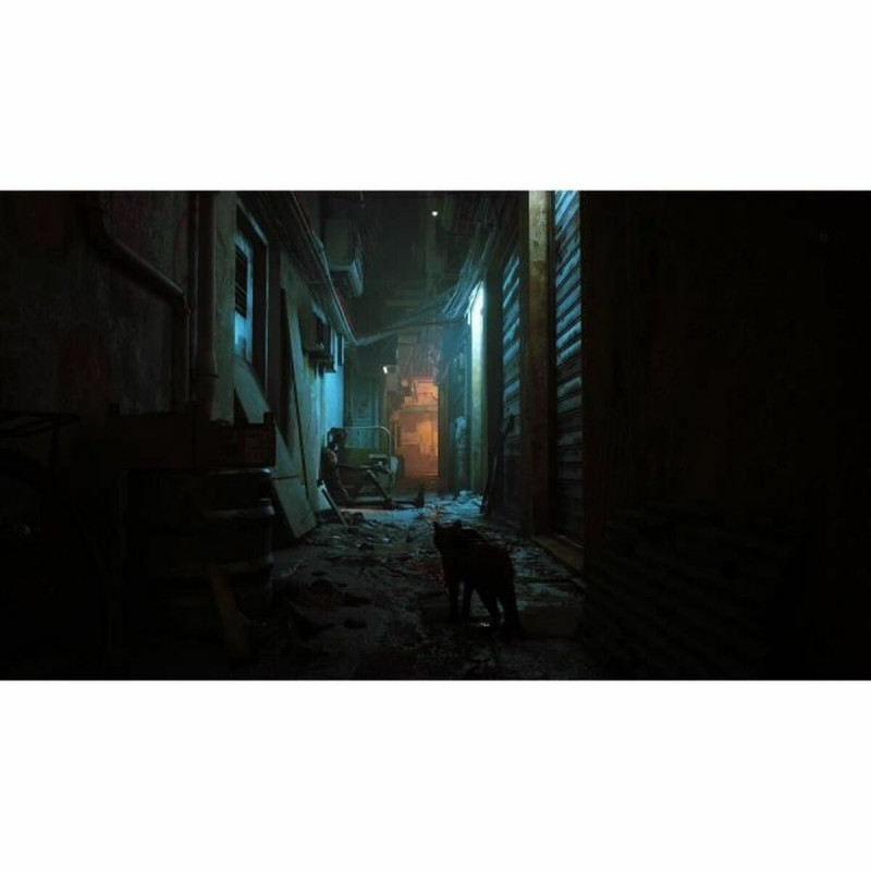 Videojuego para Switch Just For Games Stray