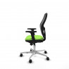 Silla Gaming Piqueras y Crespo 2D086N0 Pistacho