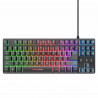 Teclado y Ratón Gaming Trust GXT794